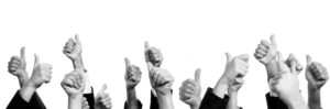 CONSULT-QUALIFIER-SUCCESS-BANNER