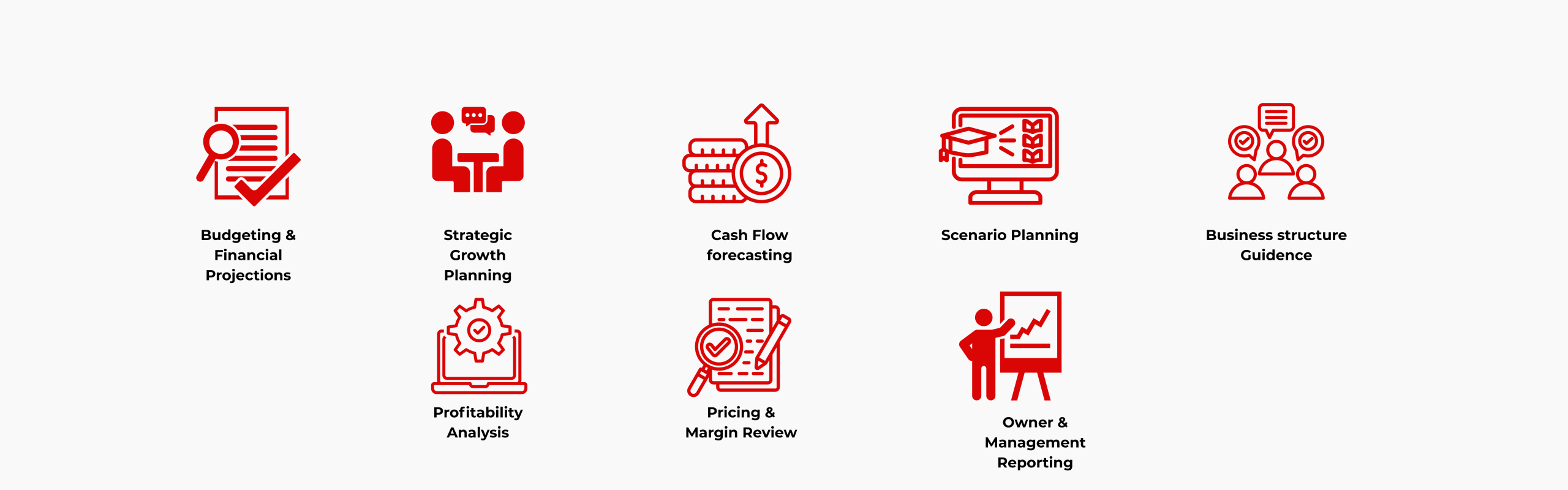 Fractional CFO reviewing financial reports, forecasts, and business performance